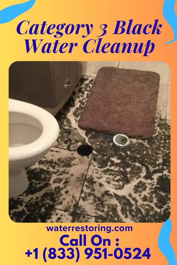 Category 3 Black Water Cleanup in Alma, WI