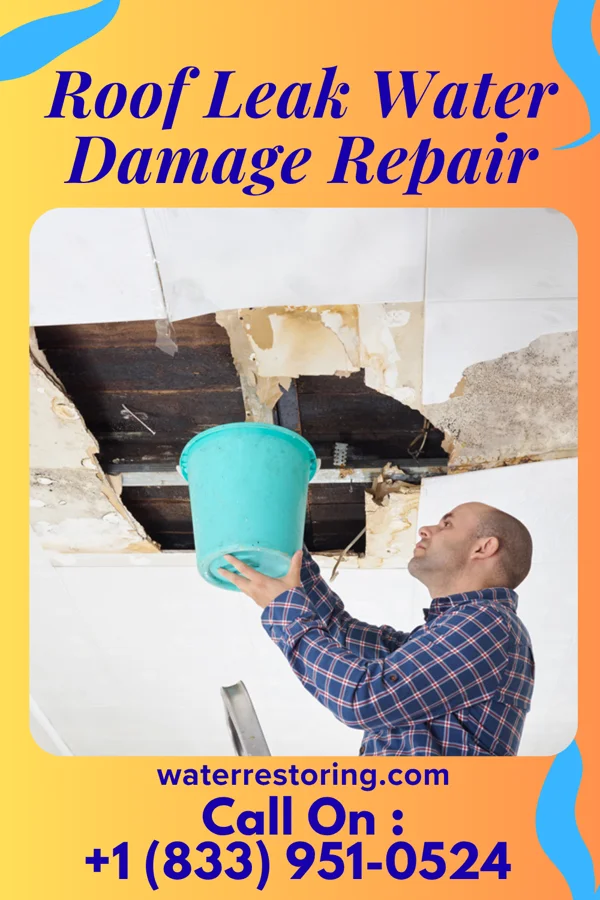 Roof Leak Water Damage Repair in Alma, WI