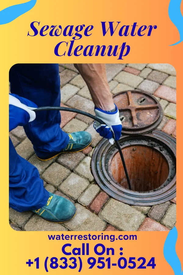Sewage Water Cleanup in Alma, WI